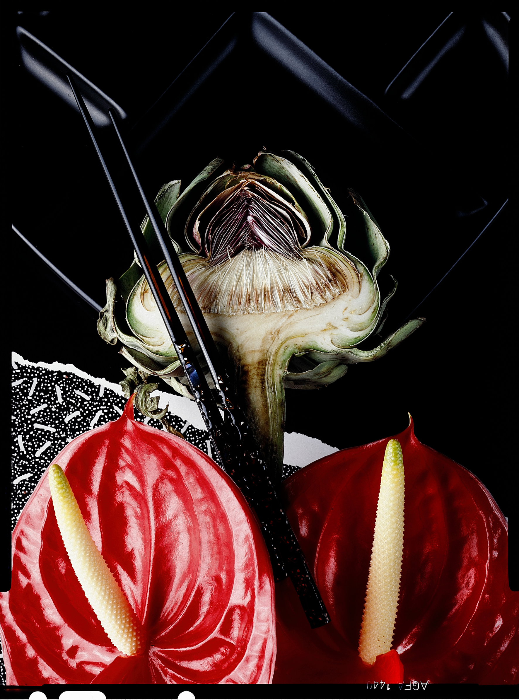 A fusion of the senses