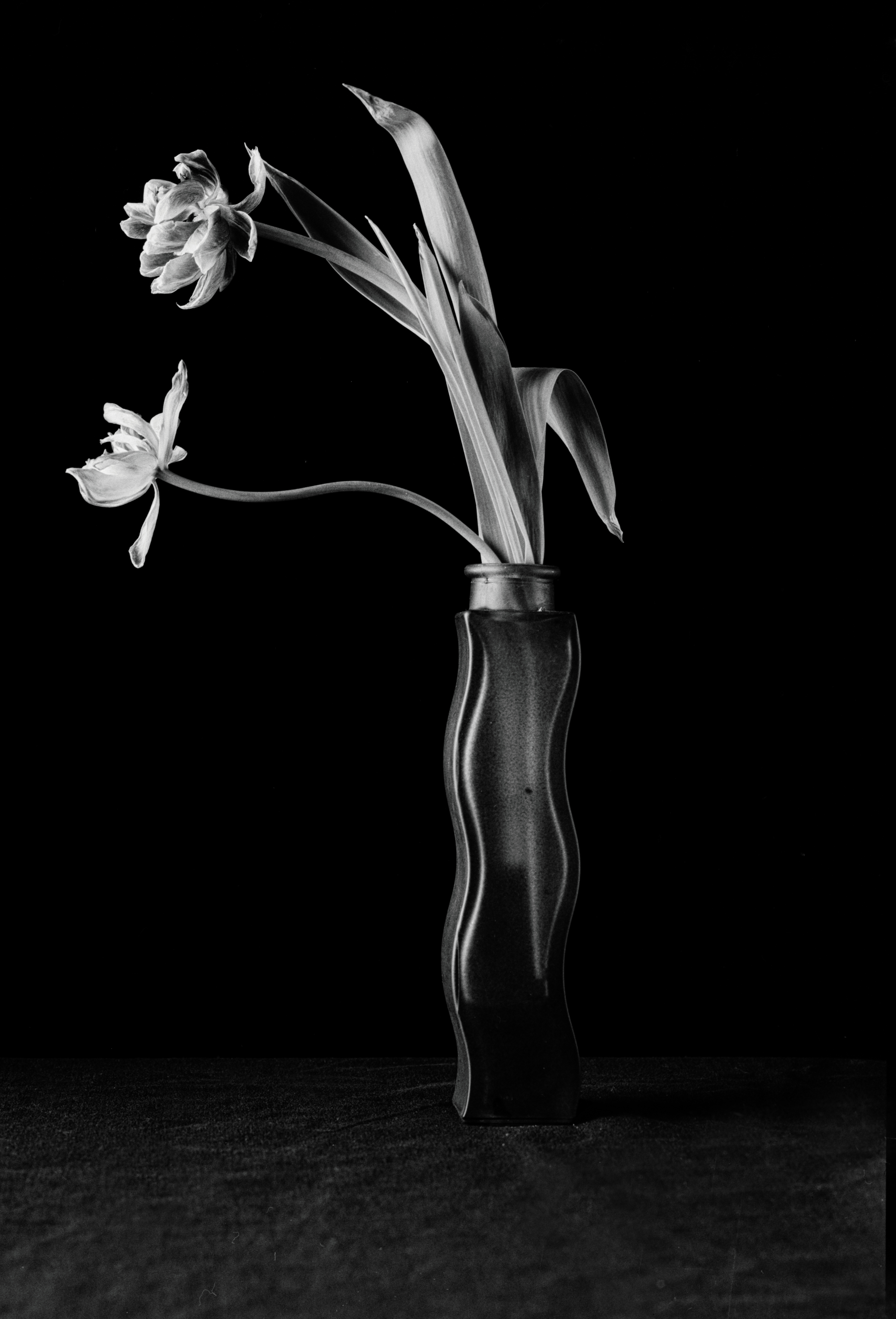 Balance of Light