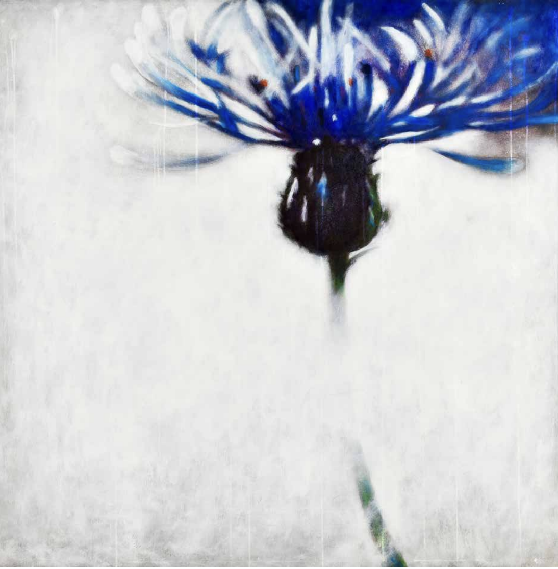 Aria (Air)
