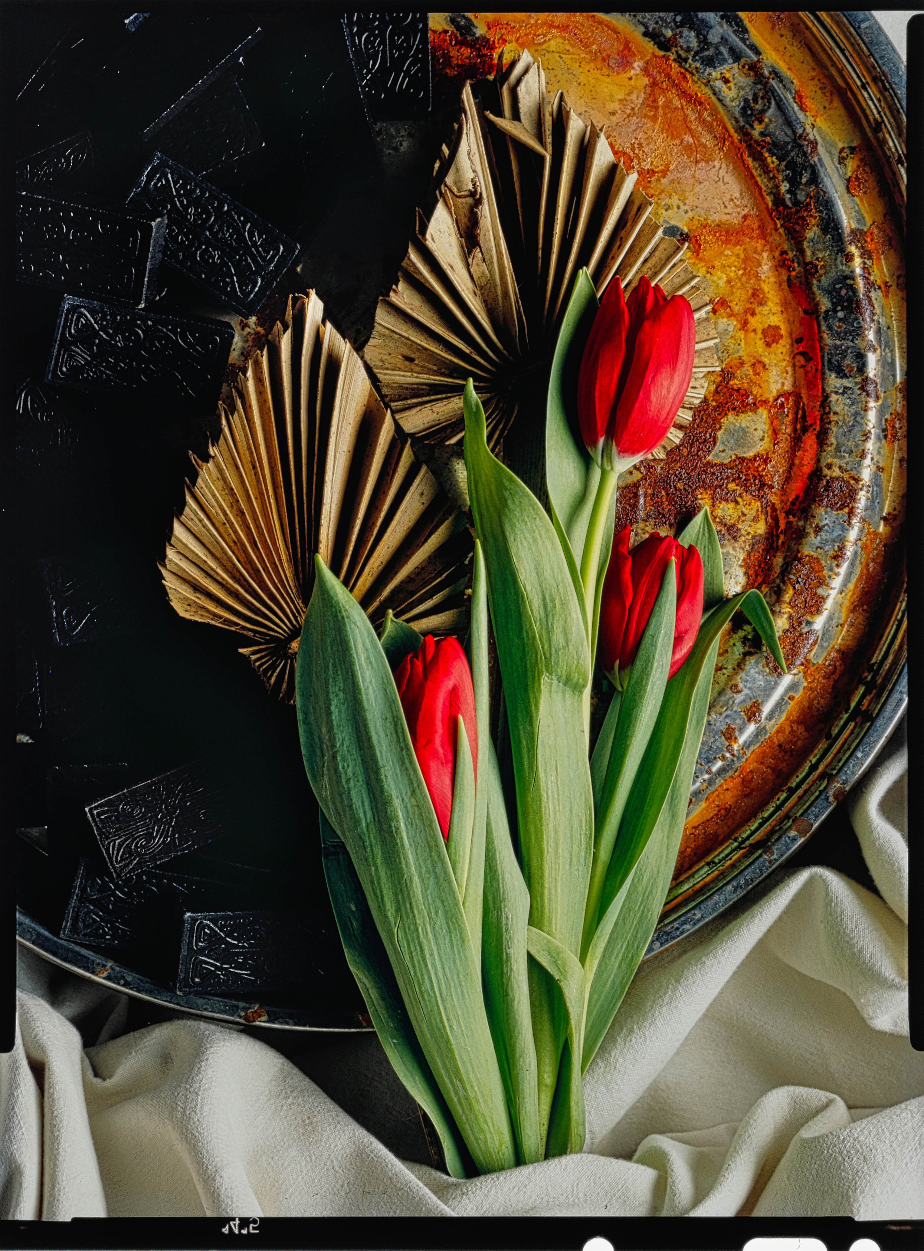 Spring poetry in red and rust