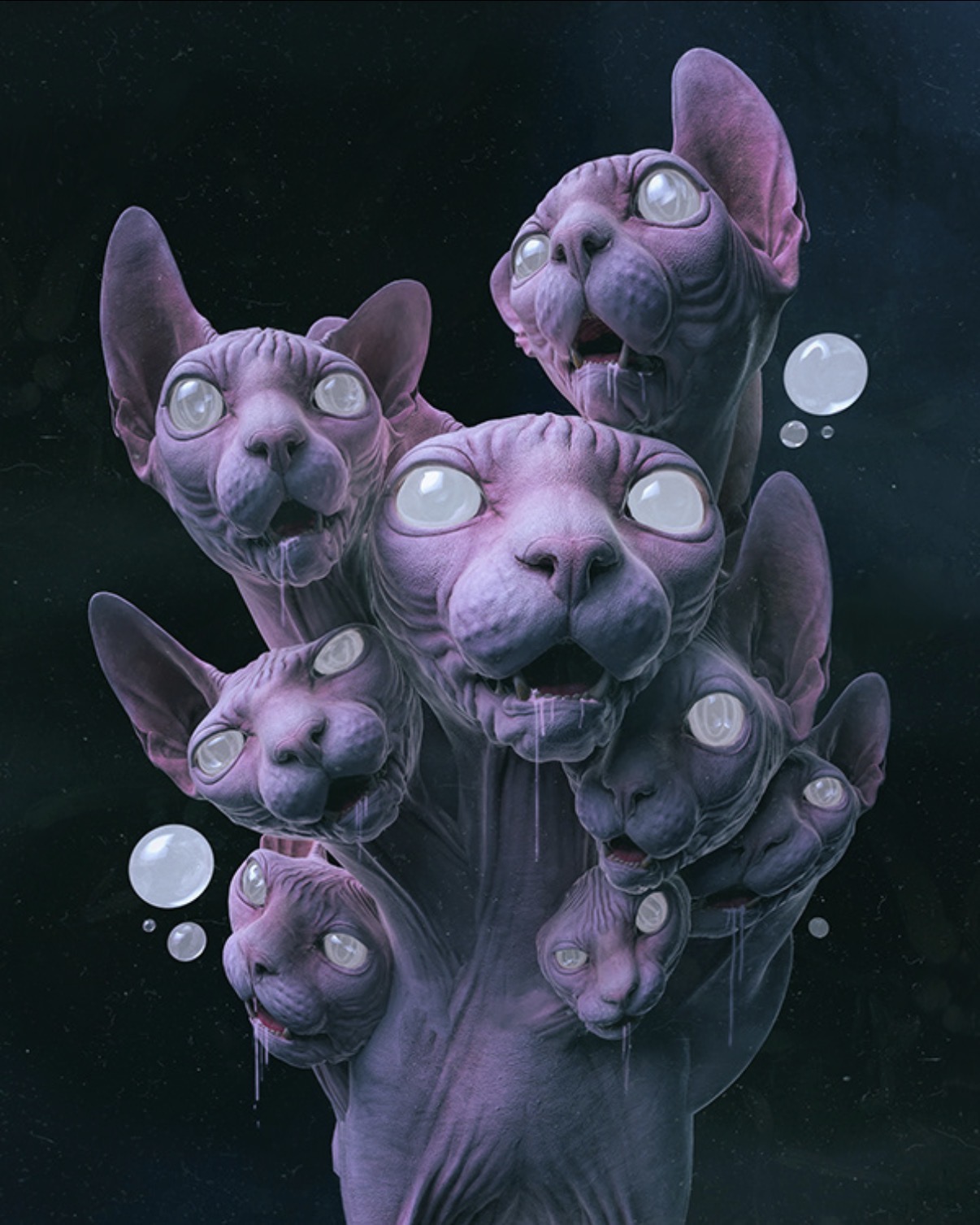 The Sphynx Cluster