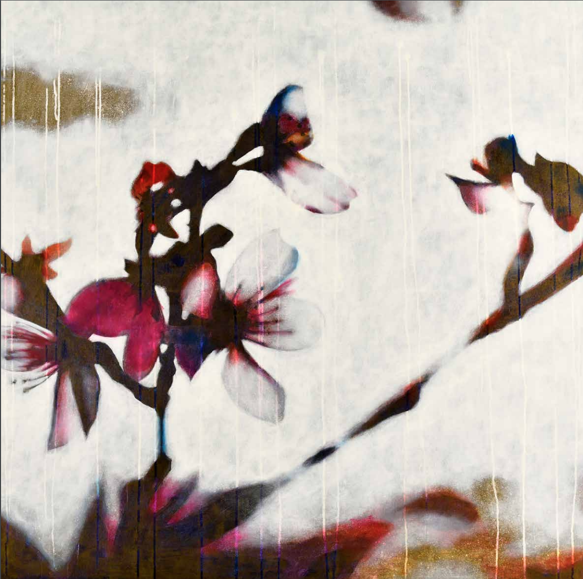 Alba Chiara (Clear Dawn)