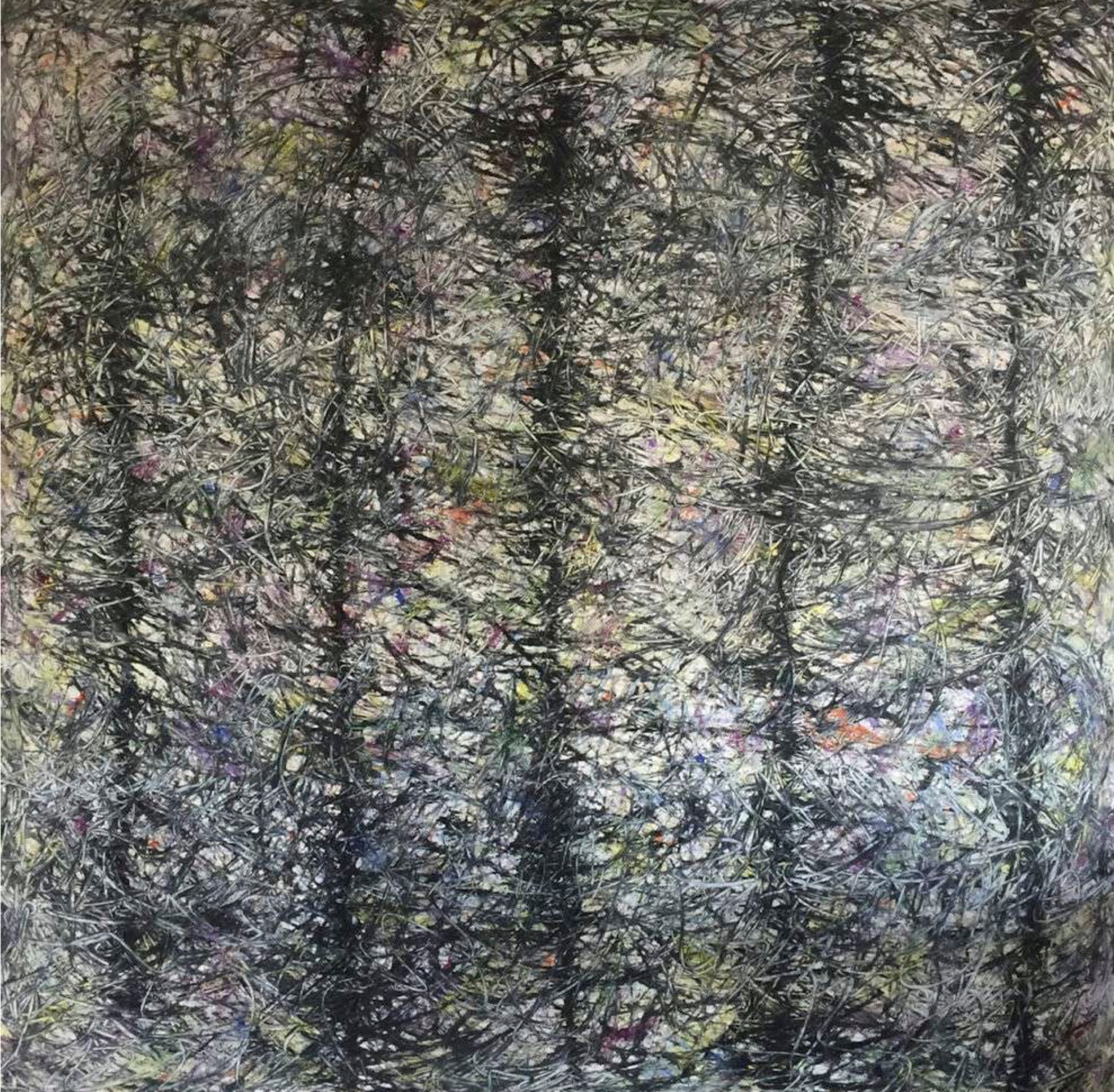 MARC FELD 2015 STORM