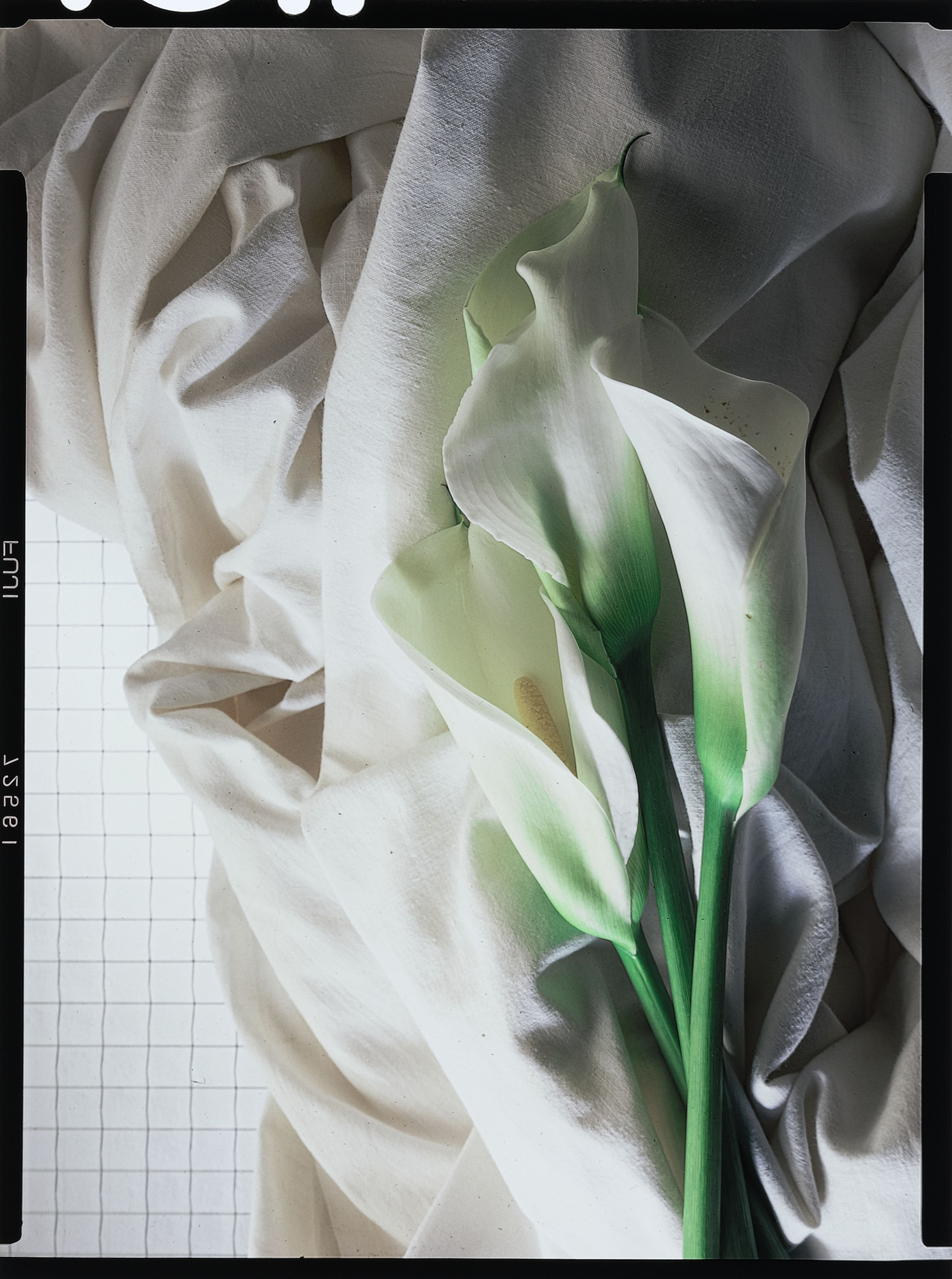 Ethereal Elegance