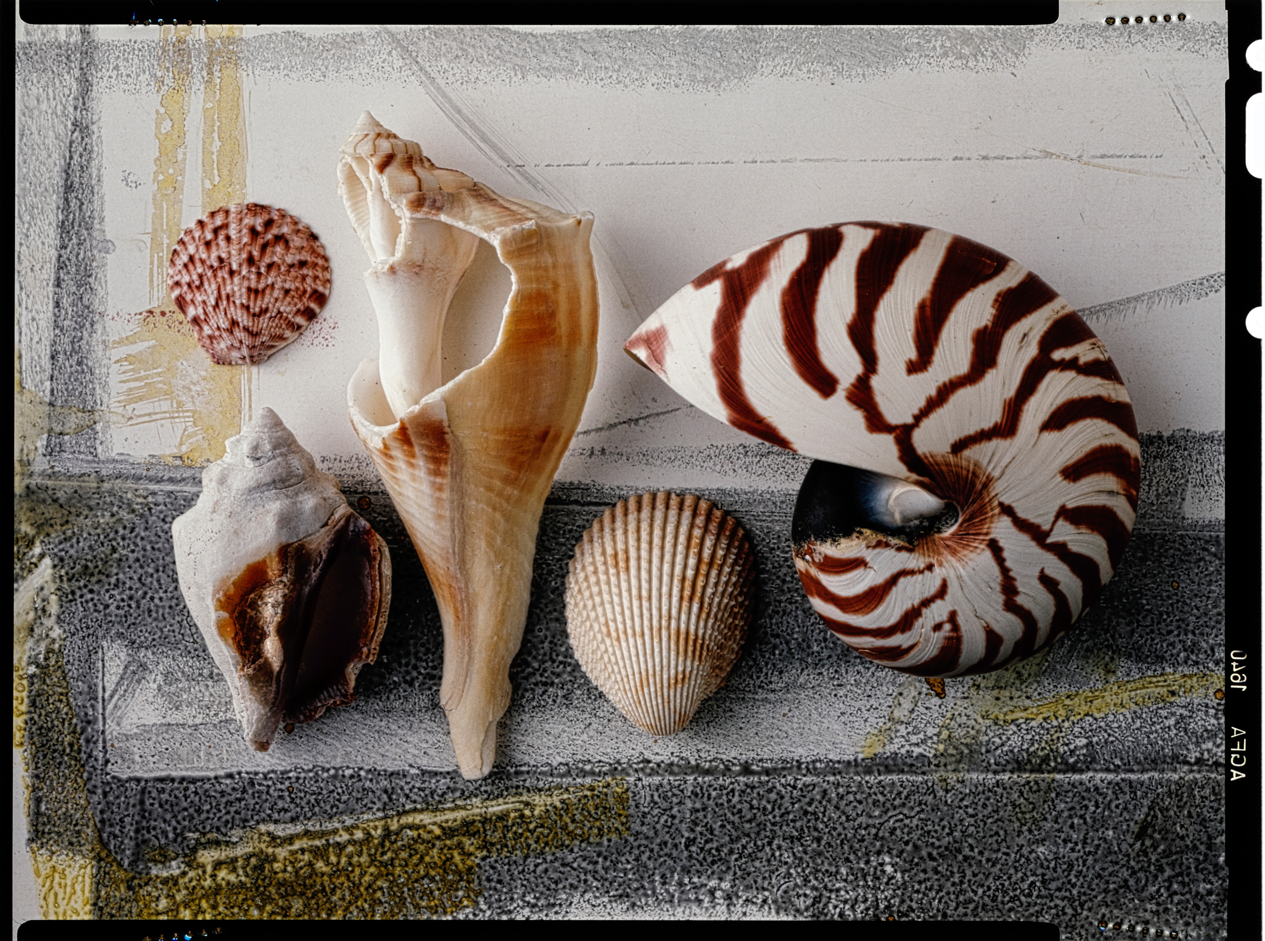 Experience the world of art and nature
