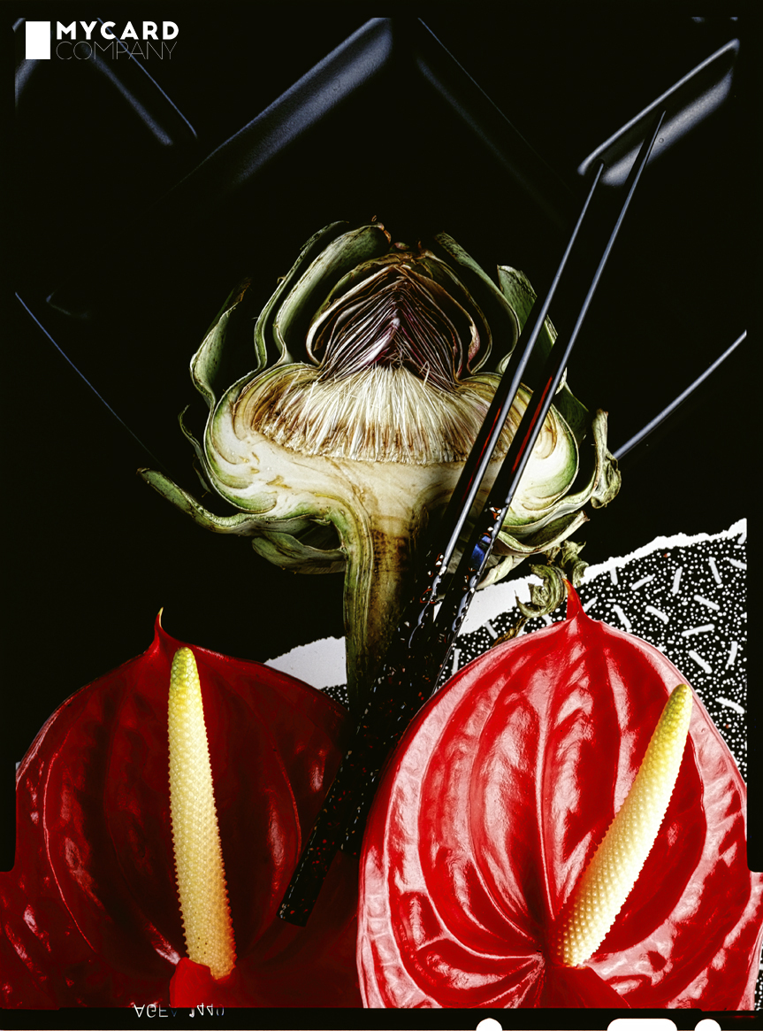 Conscious rebellion: Real photography